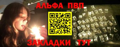 спайс Кингисепп
