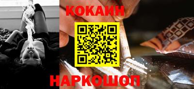 спайс Кингисепп
