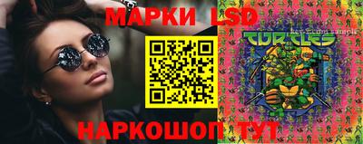 спайс Кингисепп