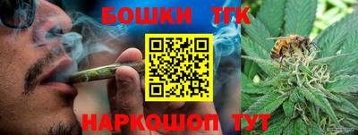 спайс Кингисепп