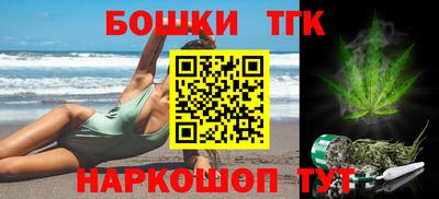 спайс Кингисепп