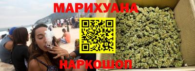 спайс Кингисепп