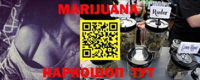 спайс Кингисепп