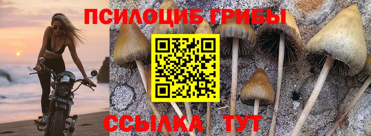 Псилоцибиновые грибы мицелий  Вход с VPN  Тайшет 