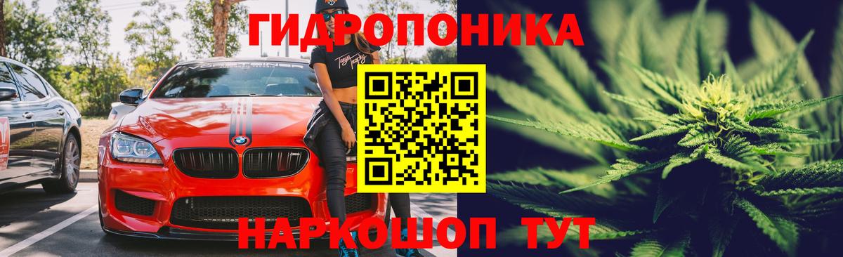 Шишки марихуана ГИДРОПОН Тайшет